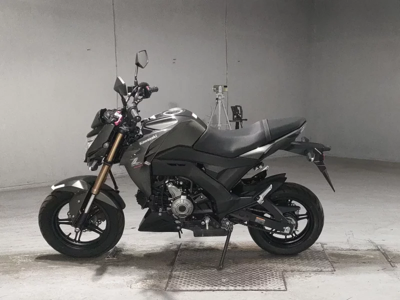 Kawasaki Z125 PRO