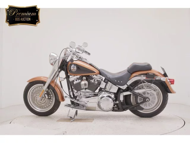 Harley-Davidson HARLEY FLSTF1580