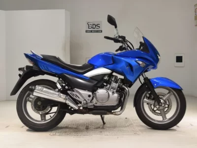 Suzuki GSR250S