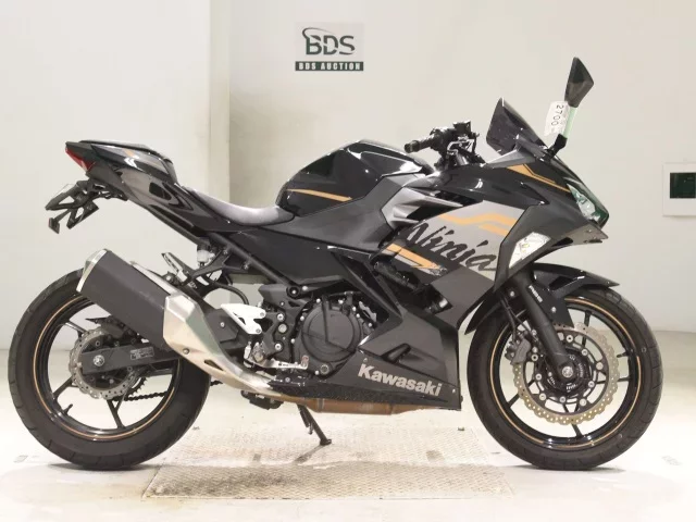 Kawasaki NINJA250-2