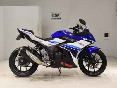 Suzuki GSX250R