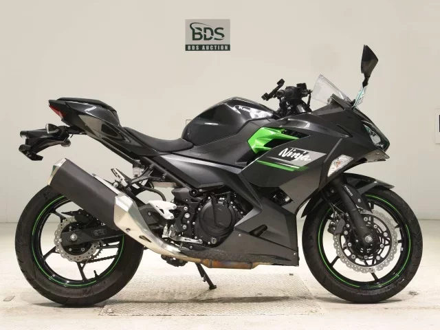 Kawasaki NINJA250-2