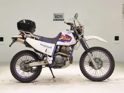 Yamaha TT250RRAID