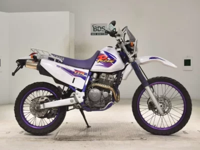 Yamaha TT250RRAID