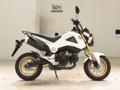 Honda GU ROM
