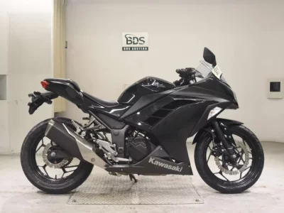Kawasaki NINJA250