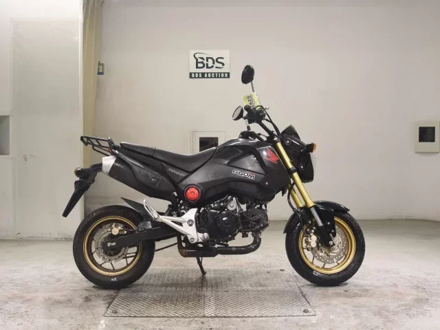 Honda GU ROM