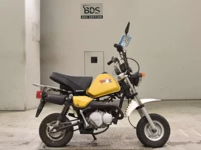 Yamaha POCKET50