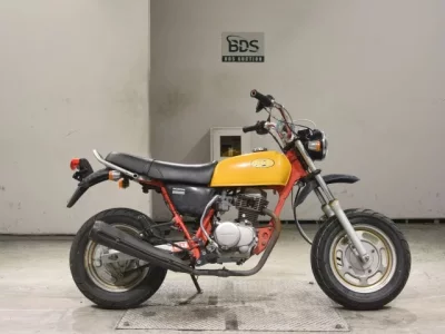 Honda APE100