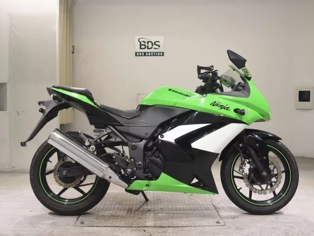 Kawasaki NINJA250R лот № 5409 оценка 4  с аукциона в Японии