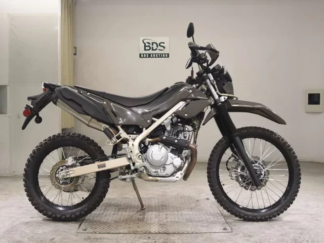 Kawasaki KLX230 SHERPA
