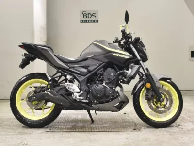 Yamaha MT-25