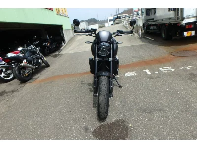 Triumph TRIUMPH TRIDENT 660