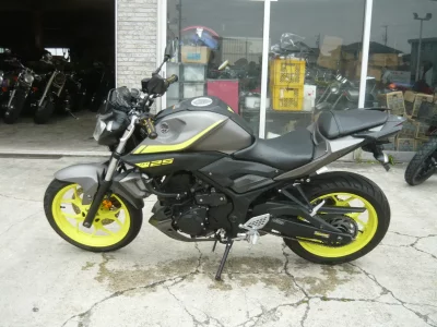 Yamaha MT-25