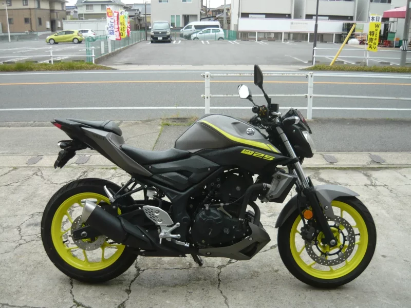 Yamaha MT-25