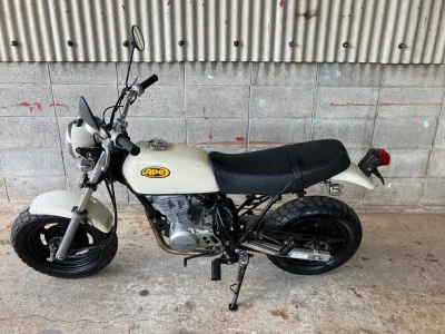 Honda APE100