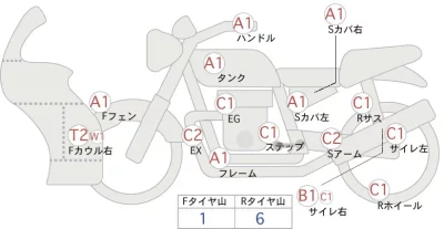 Kawasaki ZZR250