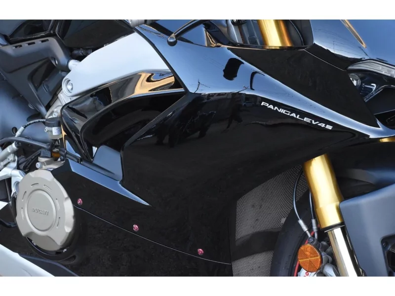 Ducati DUCATI PANIGA-REV4S