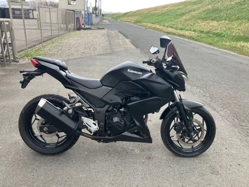 Kawasaki Z250