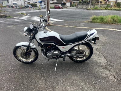 Kawasaki GPZ250