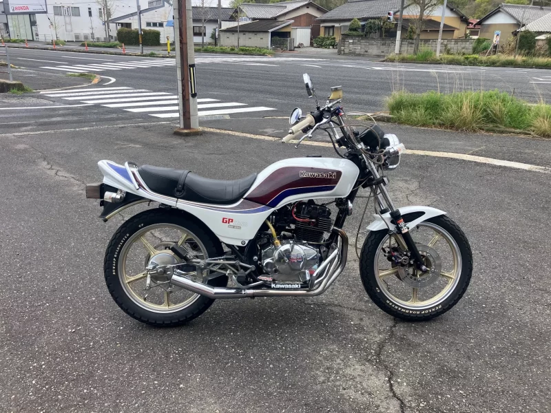 Kawasaki GPZ250
