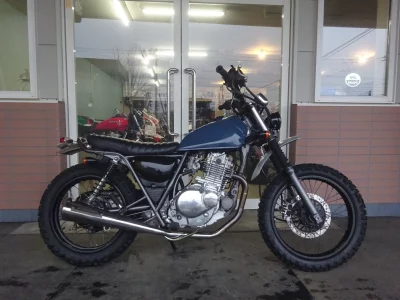 Suzuki GLASS TRACKER BIG BOY