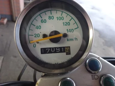 Suzuki GLASS TRACKER BIG BOY