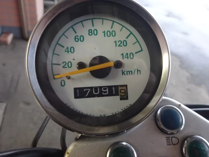 Suzuki GLASS TRACKER BIG BOY