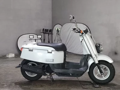 Yamaha VOX