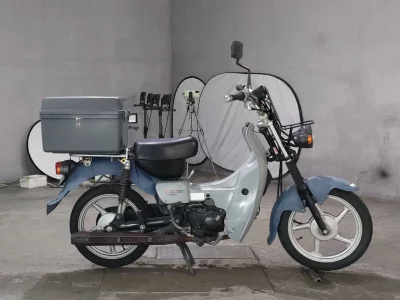 Suzuki BIRDIE90