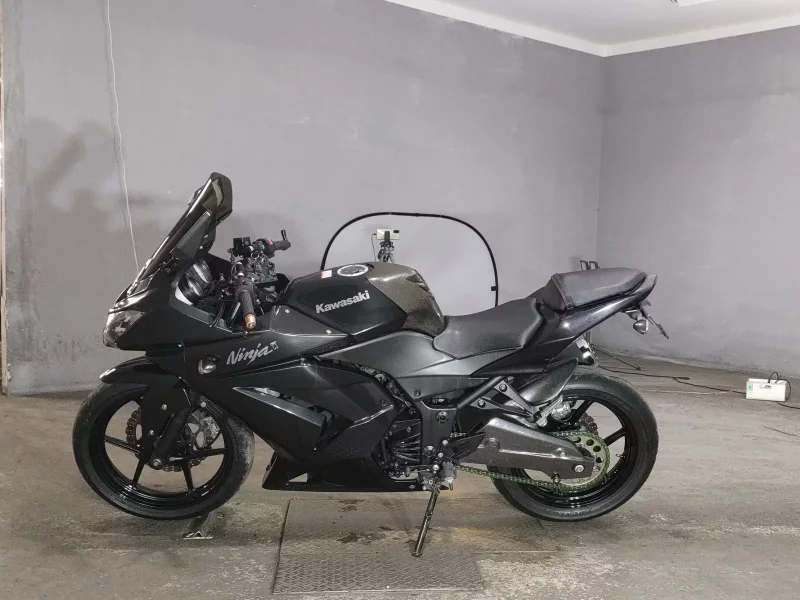 Kawasaki NINJA250R