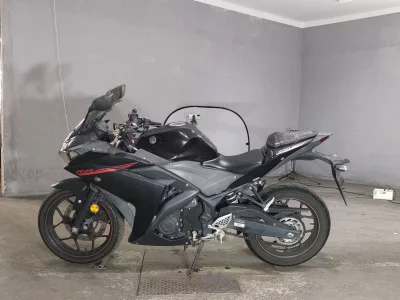 Yamaha YZF-R25