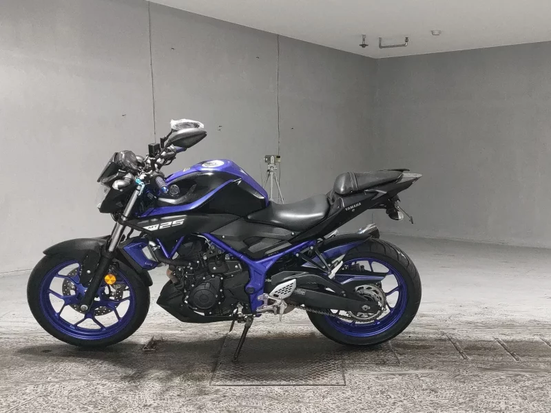 Yamaha MT-25