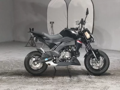 Kawasaki Z125 PRO