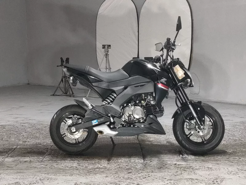 Kawasaki Z125 PRO