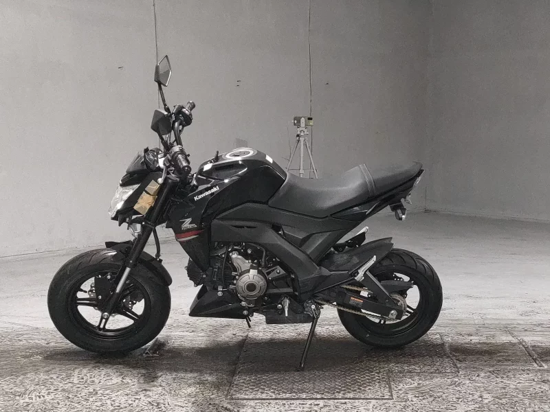 Kawasaki Z125 PRO