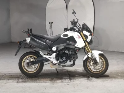 Honda GU ROM