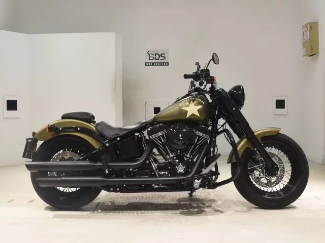 Harley-Davidson HARLEY FLSS1800