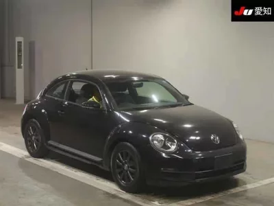 Volkswagen THE BEETLE