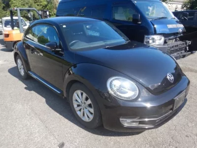 Volkswagen THE BEETLE