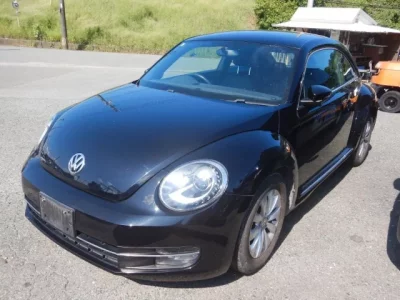 Volkswagen THE BEETLE