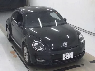Volkswagen THE BEETLE