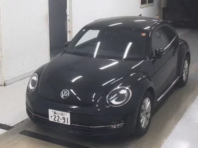 Volkswagen THE BEETLE