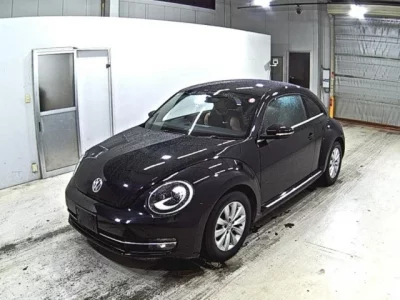 Volkswagen THE BEETLE