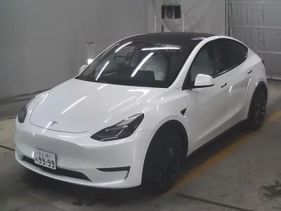 Tesla MODELY