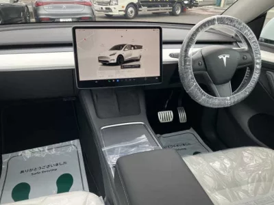 Tesla MODELY