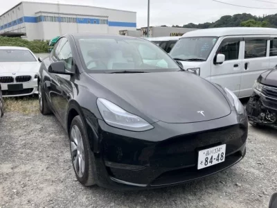 Tesla MODELY