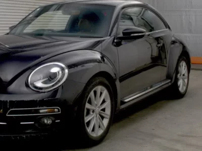 Volkswagen THE BEETLE
