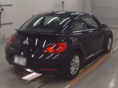 Volkswagen THE BEETLE