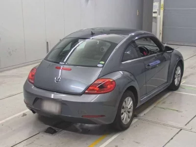 Volkswagen THE BEETLE